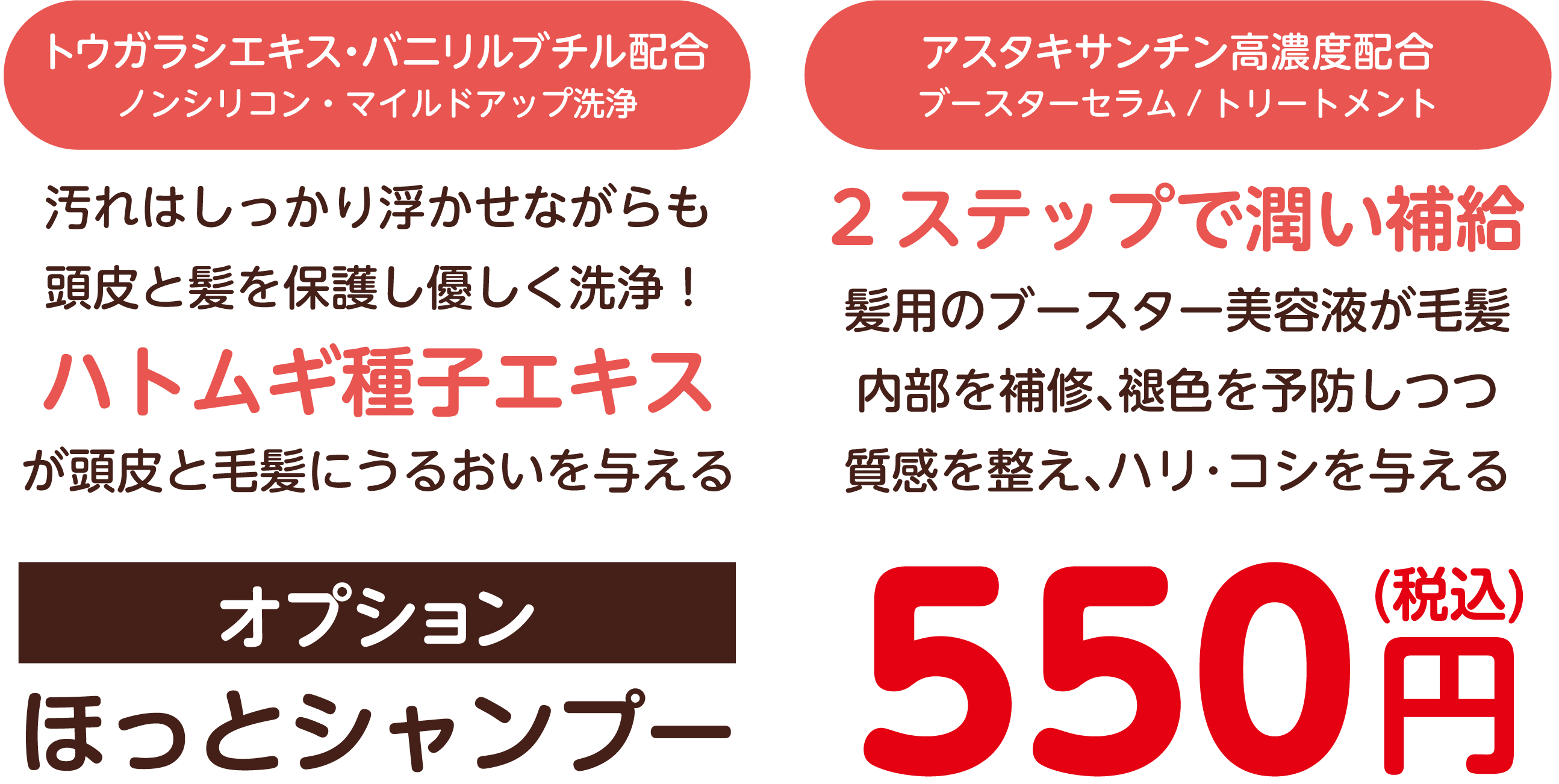 りんご幹細胞培養液エキス配合 ノンシリコン・弱酸性アミノ酸100% 抗酸化作用により髪や頭皮の老化を予防し健やかな頭皮環境を保つ　オプション スカルプシャンプー　380円(税込)