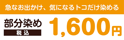 急なお出かけ、気になるトコだけ染める 部分染め料金 1,600円税込
