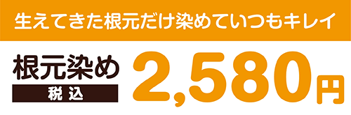生えてきた根本だけ染めていつもキレイ 根元染め料金（リタッチカラー） 2,580円税込