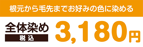 根本から毛先までお好みの色に染める 全体染め（フルカラー）料金 3,180円税込